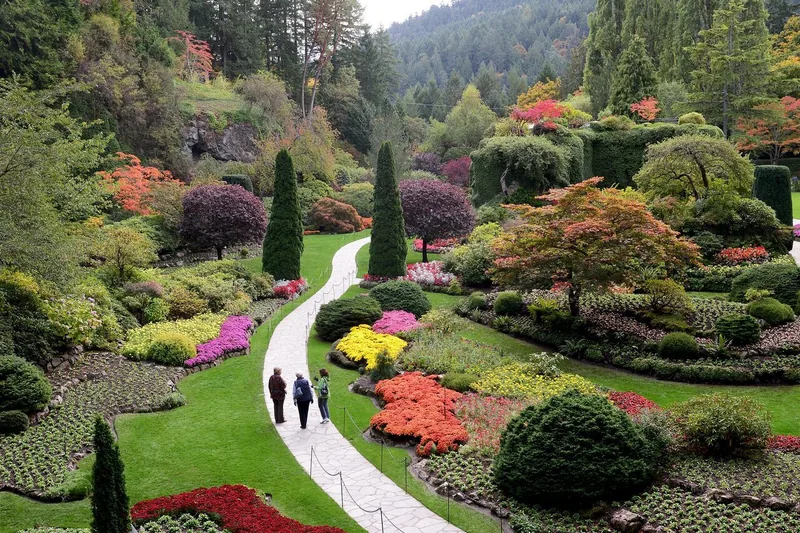 Victoria City and Butchart Gardens Tour
