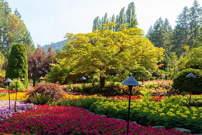 Lawns and bright flower beds beneath tall trees and lanterns