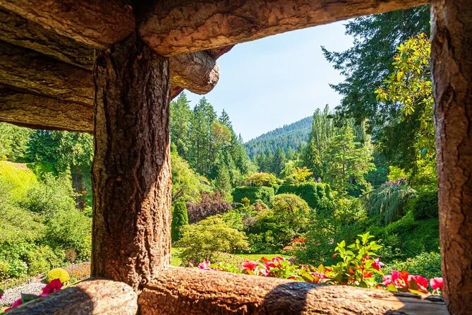 A garden view framed by the timber posts of a shelter