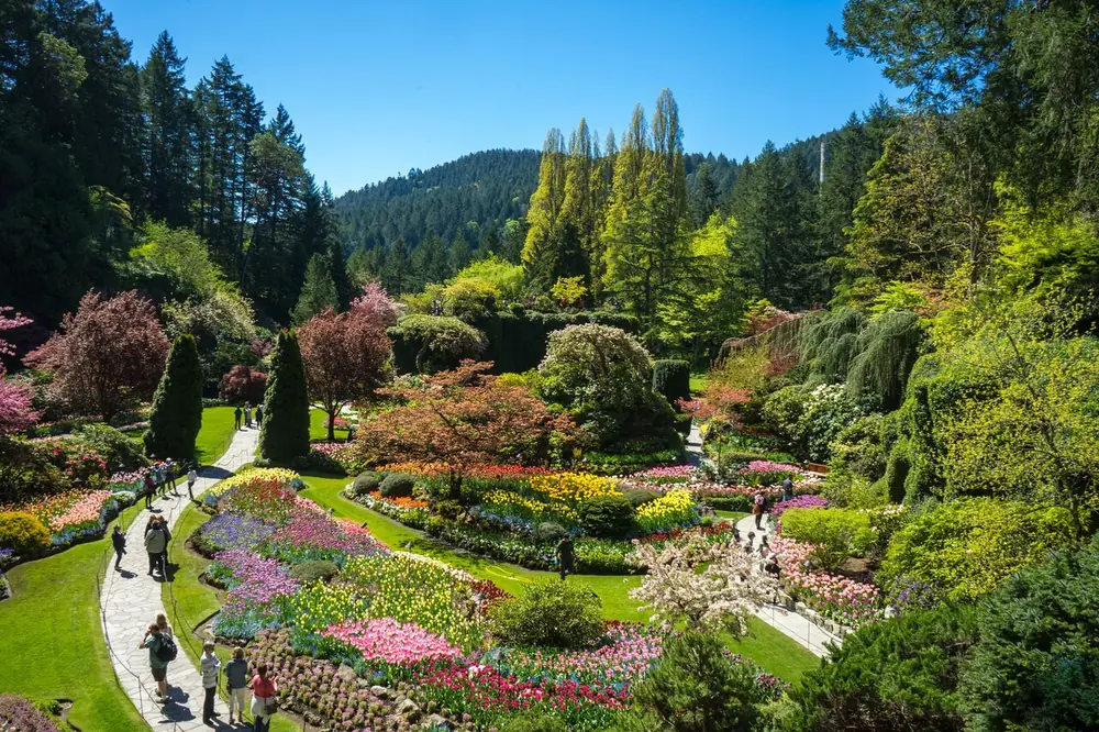 Visitantes en los senderos del Sunken Garden bajo colinas boscosas